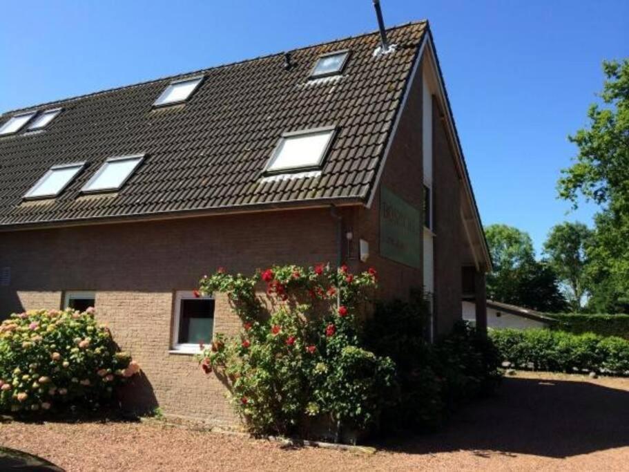 Boszicht 3 Appartement In אוסטקאפלה מראה חיצוני תמונה