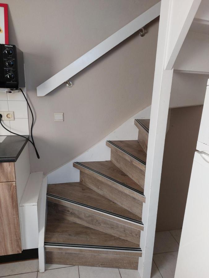 Boszicht 3 Appartement In אוסטקאפלה מראה חיצוני תמונה